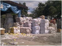 Inspection the Recycle Factory